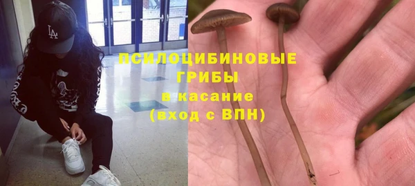 винт Магас