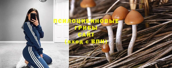 ешки Майский