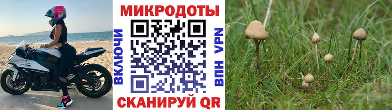 как найти   Дербент  площадка наркотические препараты  Псилоцибиновые грибы MAGIC MUSHROOMS 