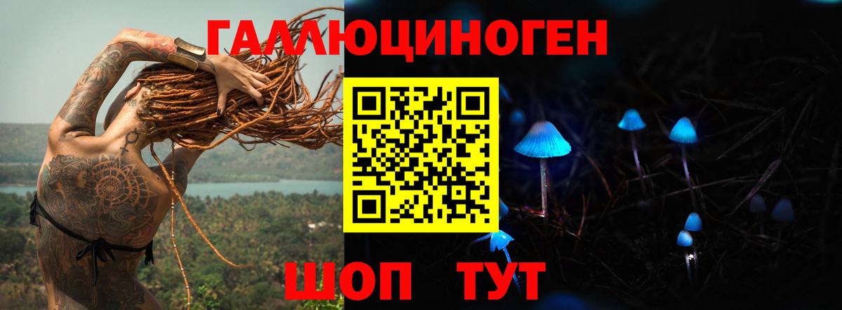 Псилоцибиновые грибы GOLDEN TEACHER  Галлюциногенные грибы GOLDEN TEACHER  Дербент  Вход с VPN 